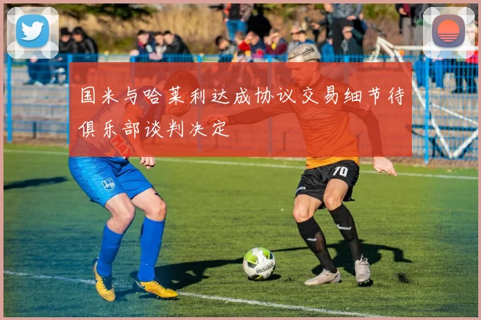 国米与哈莱利达成协议交易细节待俱乐部谈判决定