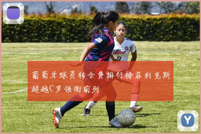 葡萄牙球员转会费排行榜菲利克斯超越C罗领衔前列