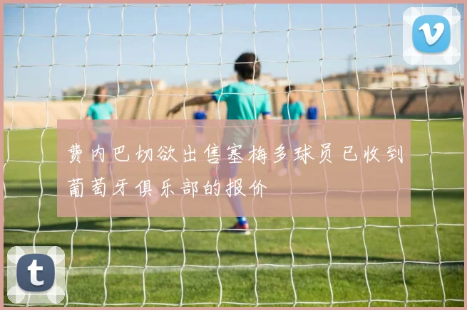 费内巴切欲出售塞梅多球员已收到葡萄牙俱乐部的报价